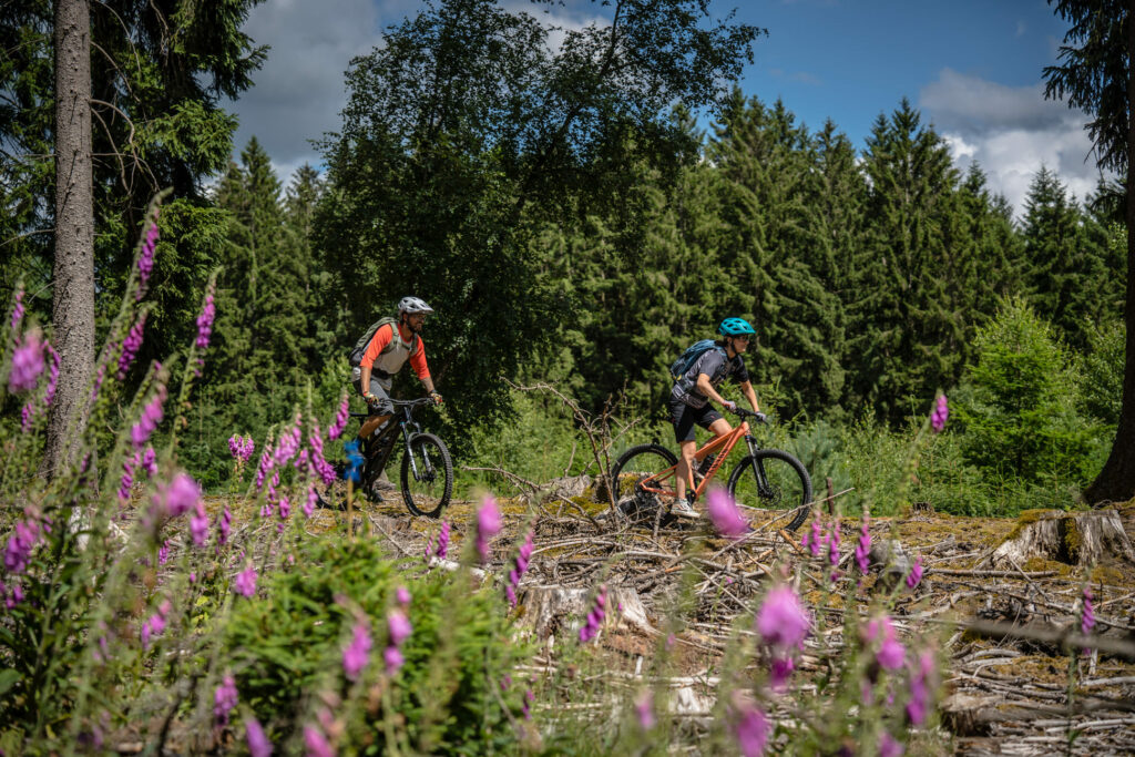 Zwei Mountainbiker im Wald